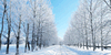 Inverno